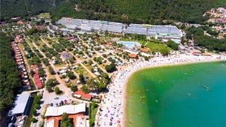 Oliva rent