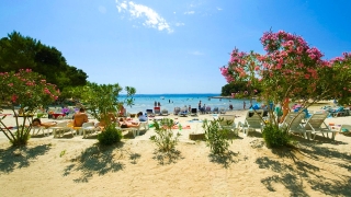 Pine Beach