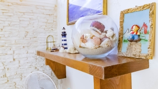 Seashell Flat