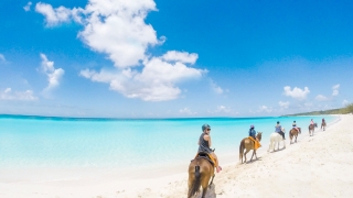 Horse Country Resort Congress & Spa