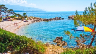 Suha Punta-App
