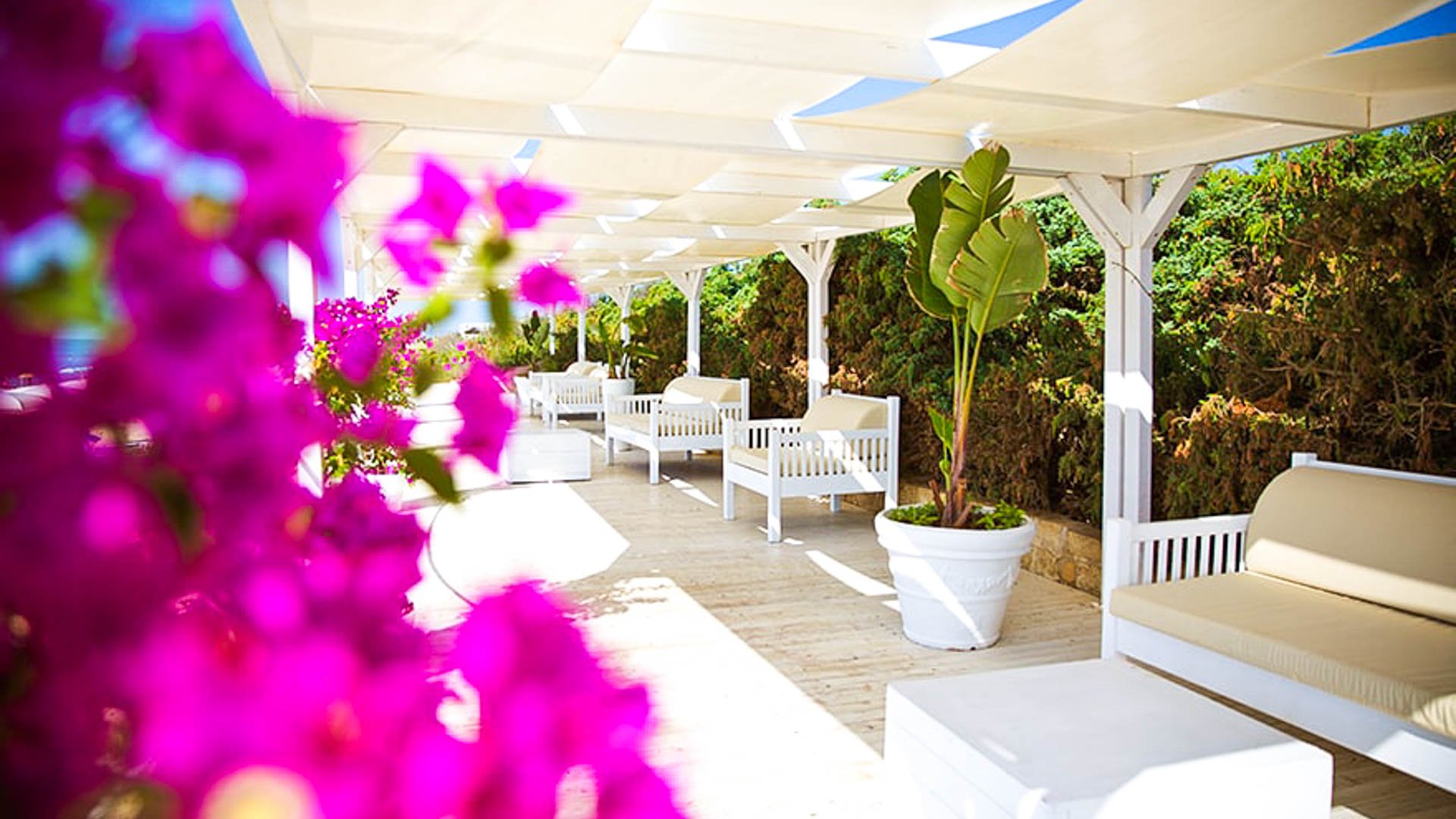 Ticho's Hotel