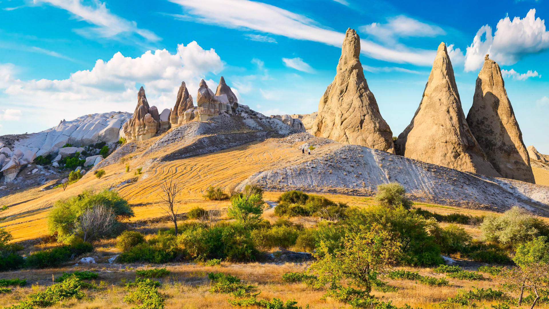 Tour della Turchia Istanbul e Cappadocia 30/12