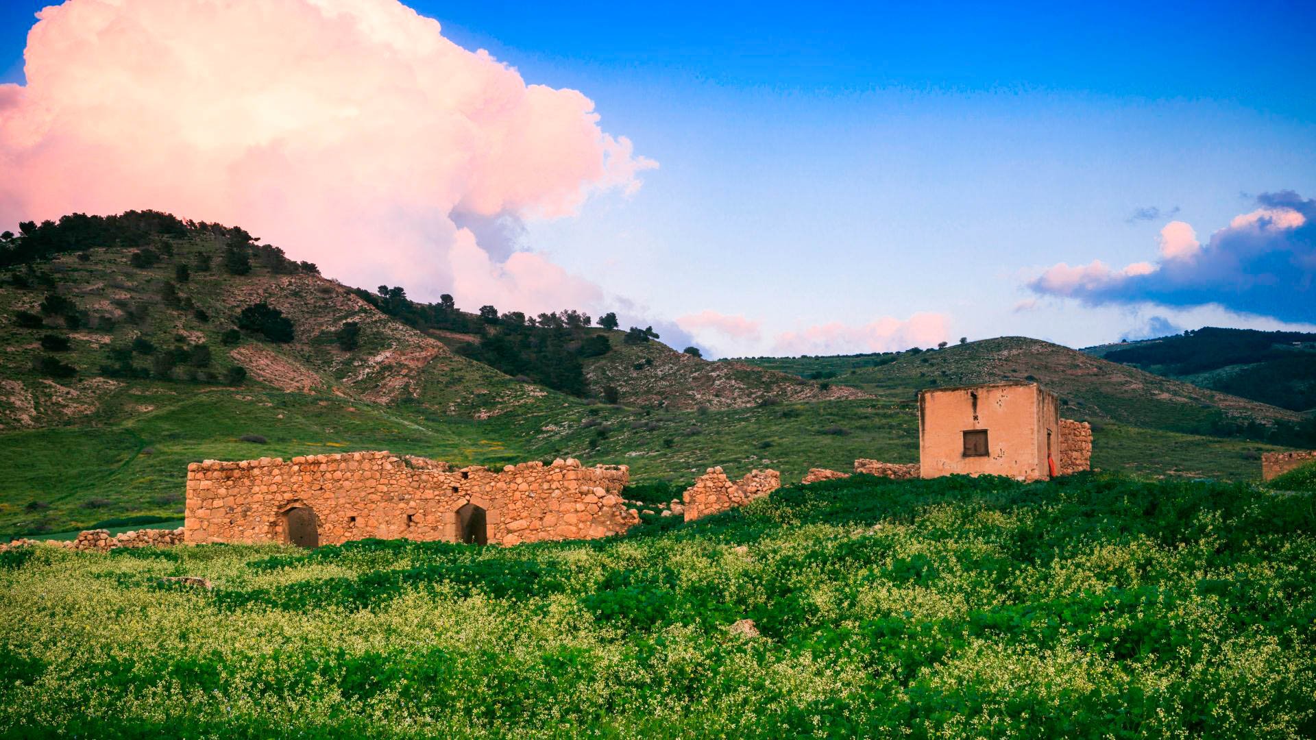 Tour Giordania - Petra e Mare