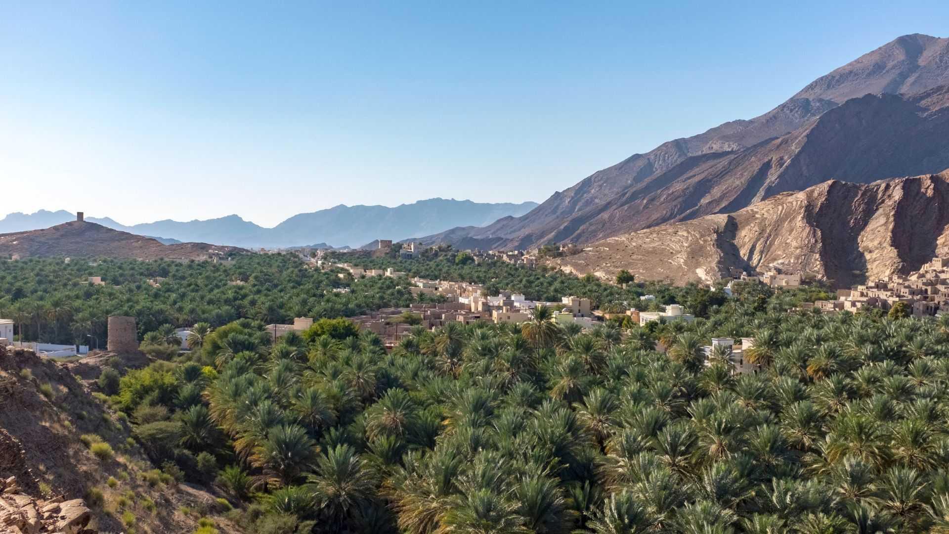 Tour Le meraviglie dell'Oman