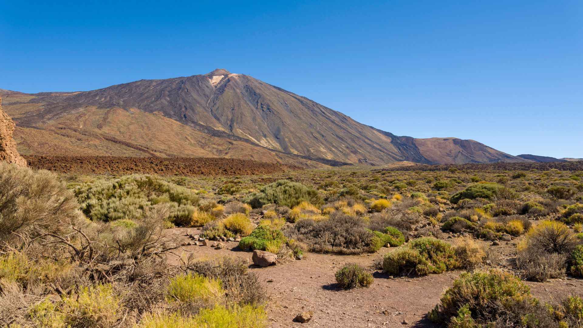 Tour Le Meraviglie di Tenerife - Capodanno