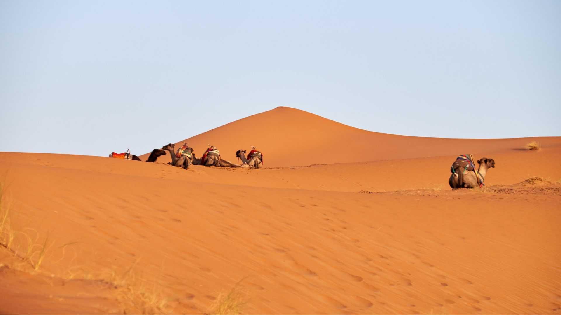 Tour Marocco Incanto del Sud - Programma B