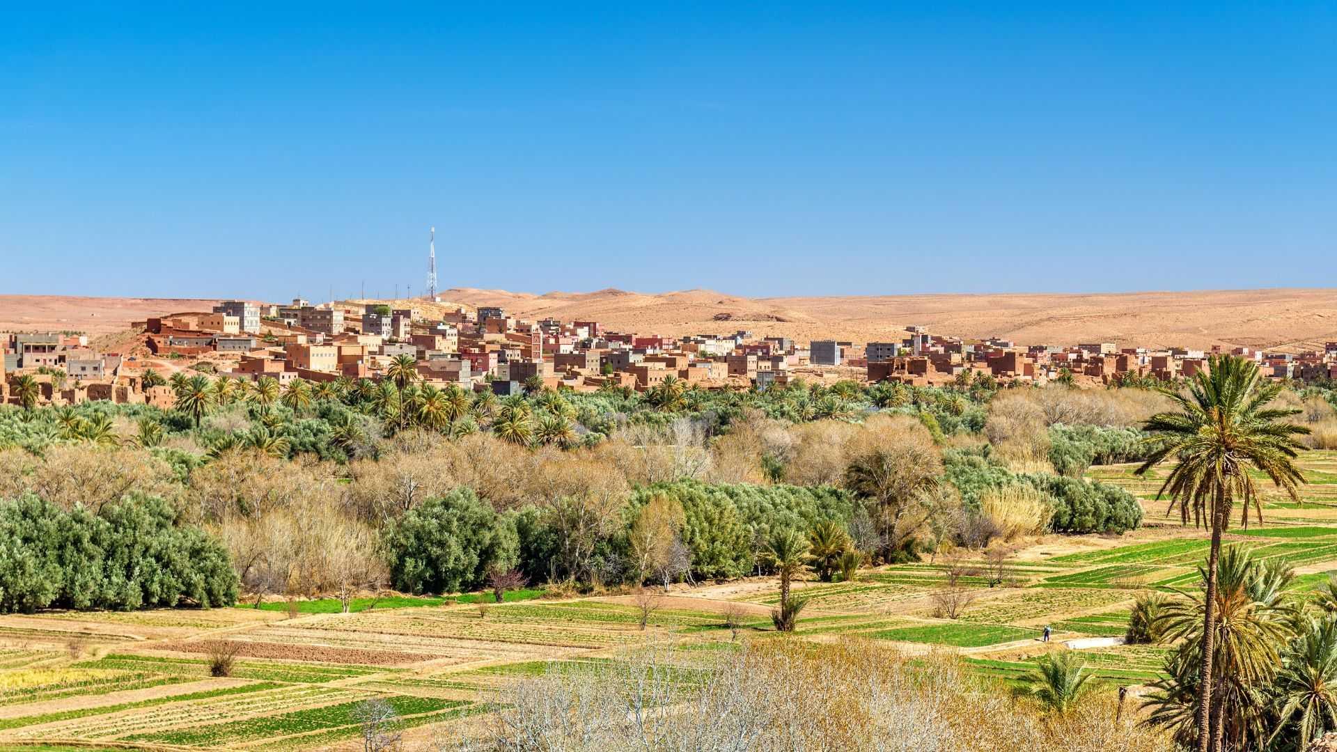 Tour Marocco Incanto del Sud - Programma B