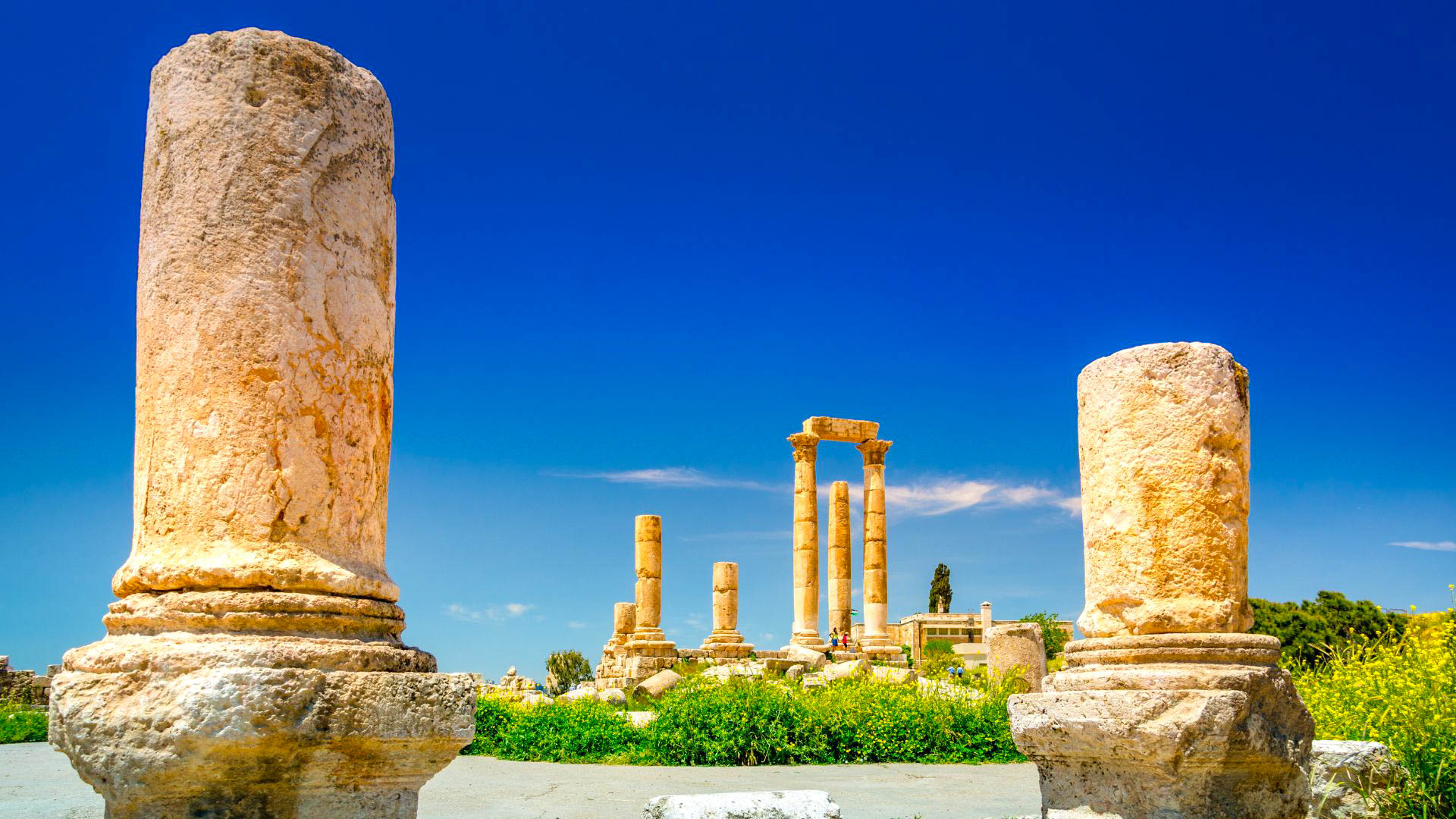 Tour Petra e Gerusalemme