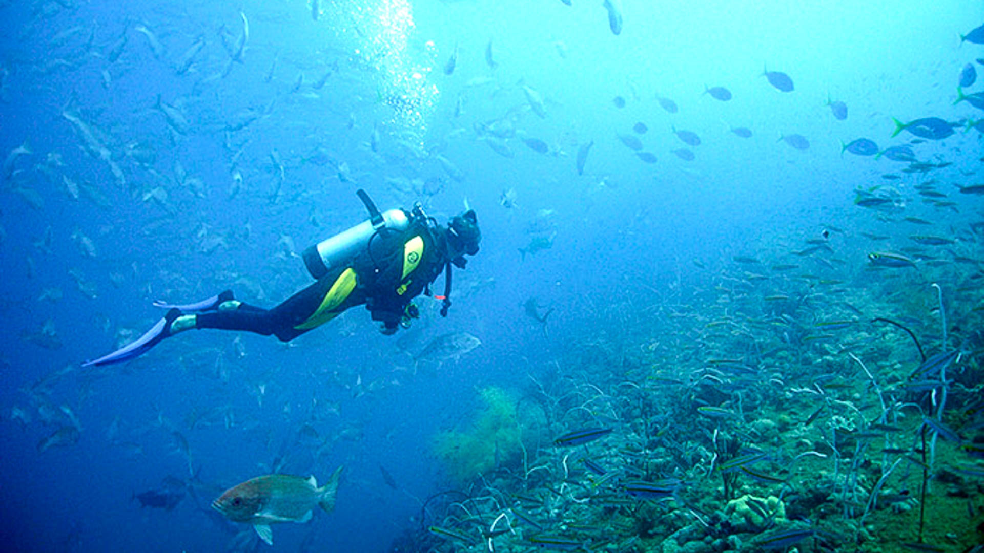 VELI MEL SUNNY HOTEL 