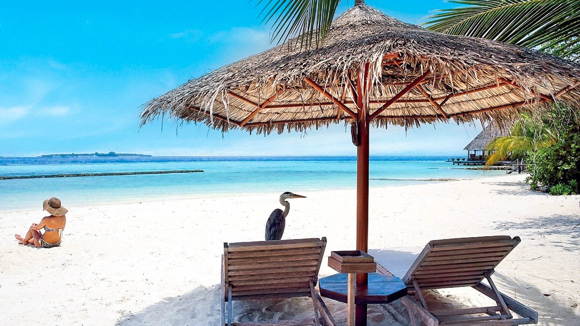 Veraclub Gangehi Island Resort & Spa