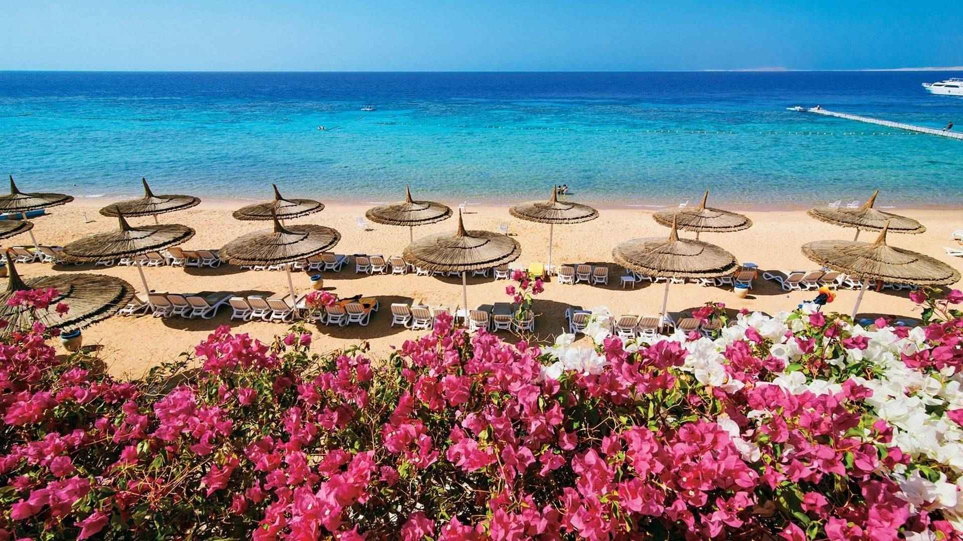 Veraclub Reef Oasis Beach Resort