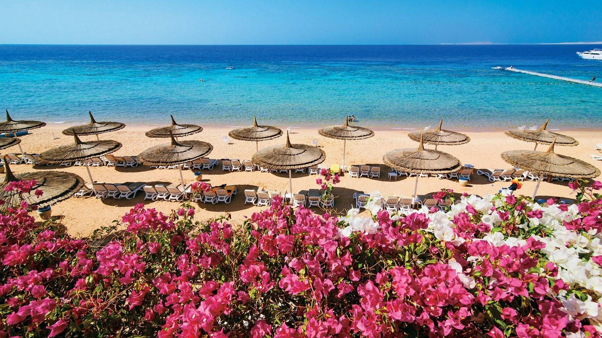 Veraclub Reef Oasis Beach Resort