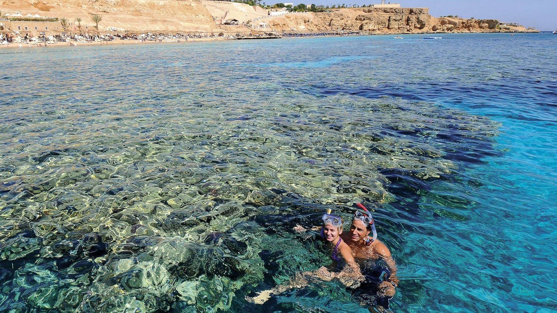 Veraclub Sentido Reef Oasis Senses