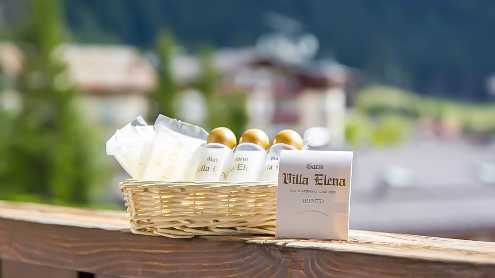 Hotel Villa Elena