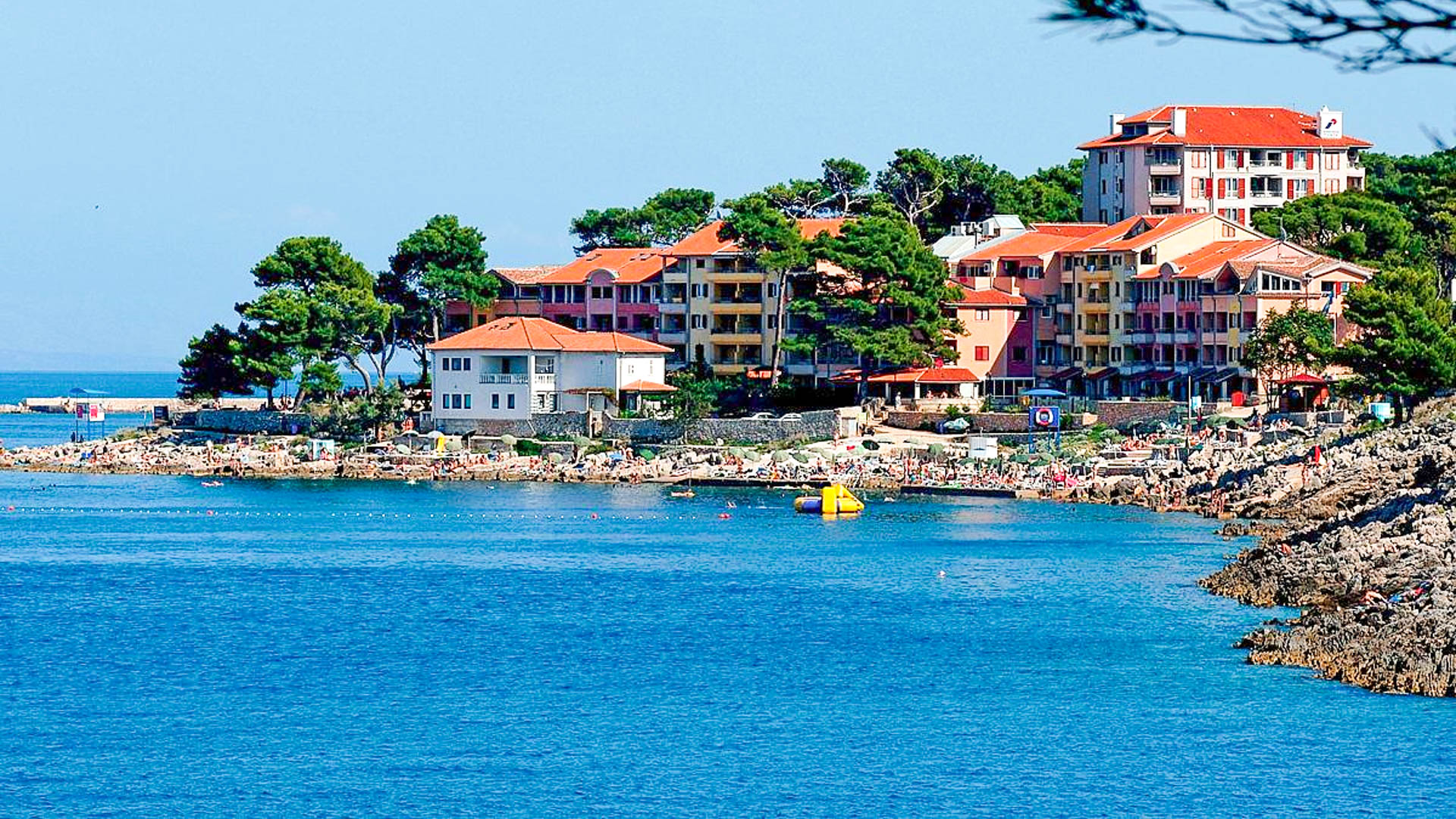 Vitality Punta