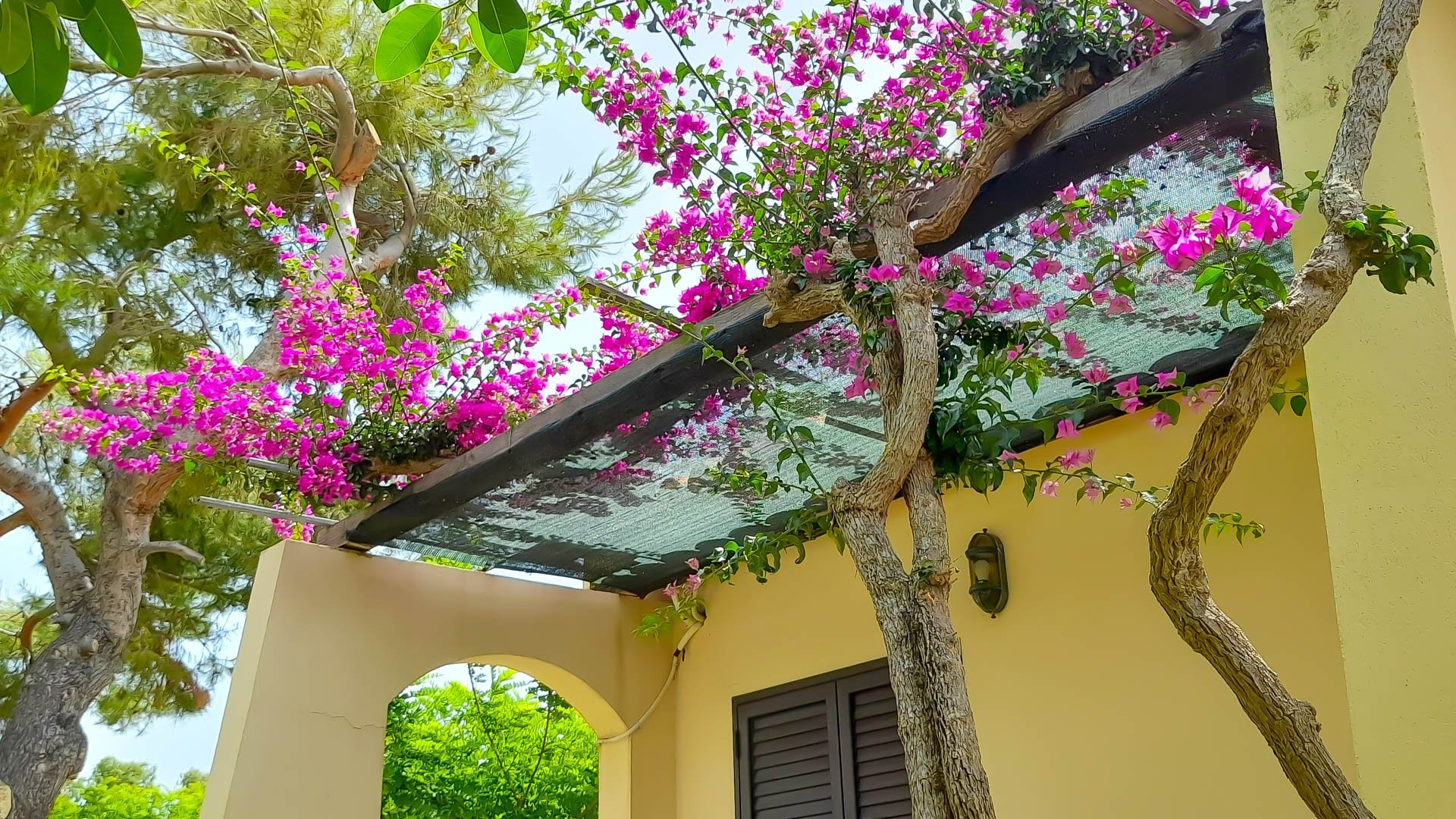 VOI Le Muse Resort