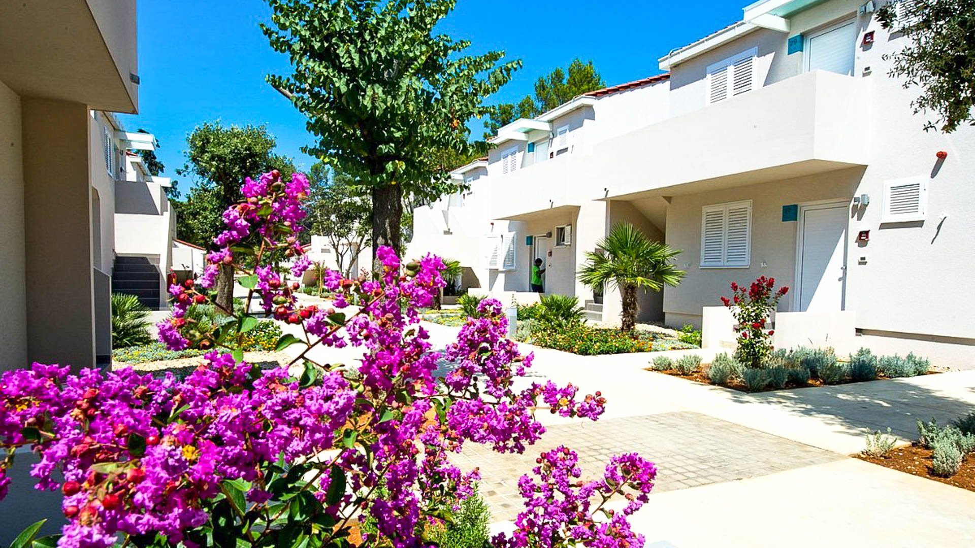 ZATON HOLIDAY RESORT mh